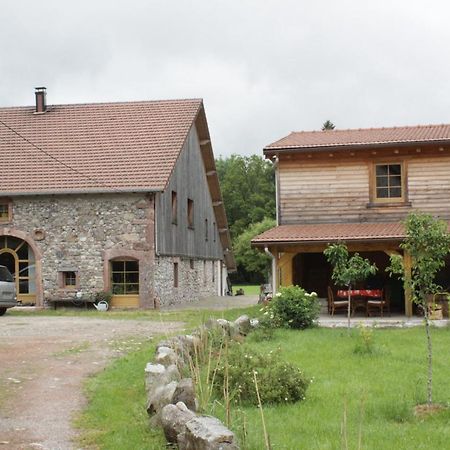 Gites Typiques Au Coeur Des Hautes Vosges Saulxures-sur-Moselotte Exteriér fotografie