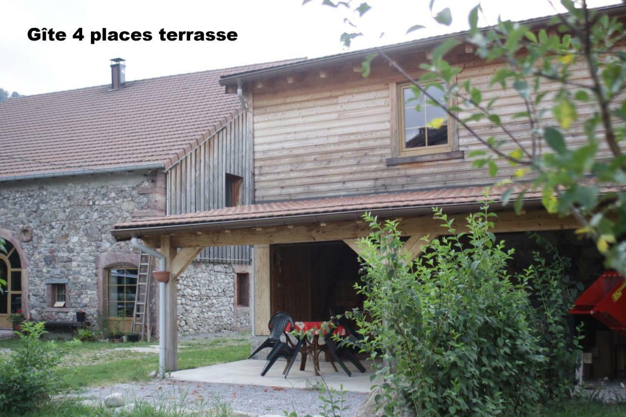 Gites Typiques Au Coeur Des Hautes Vosges Saulxures-sur-Moselotte Exteriér fotografie