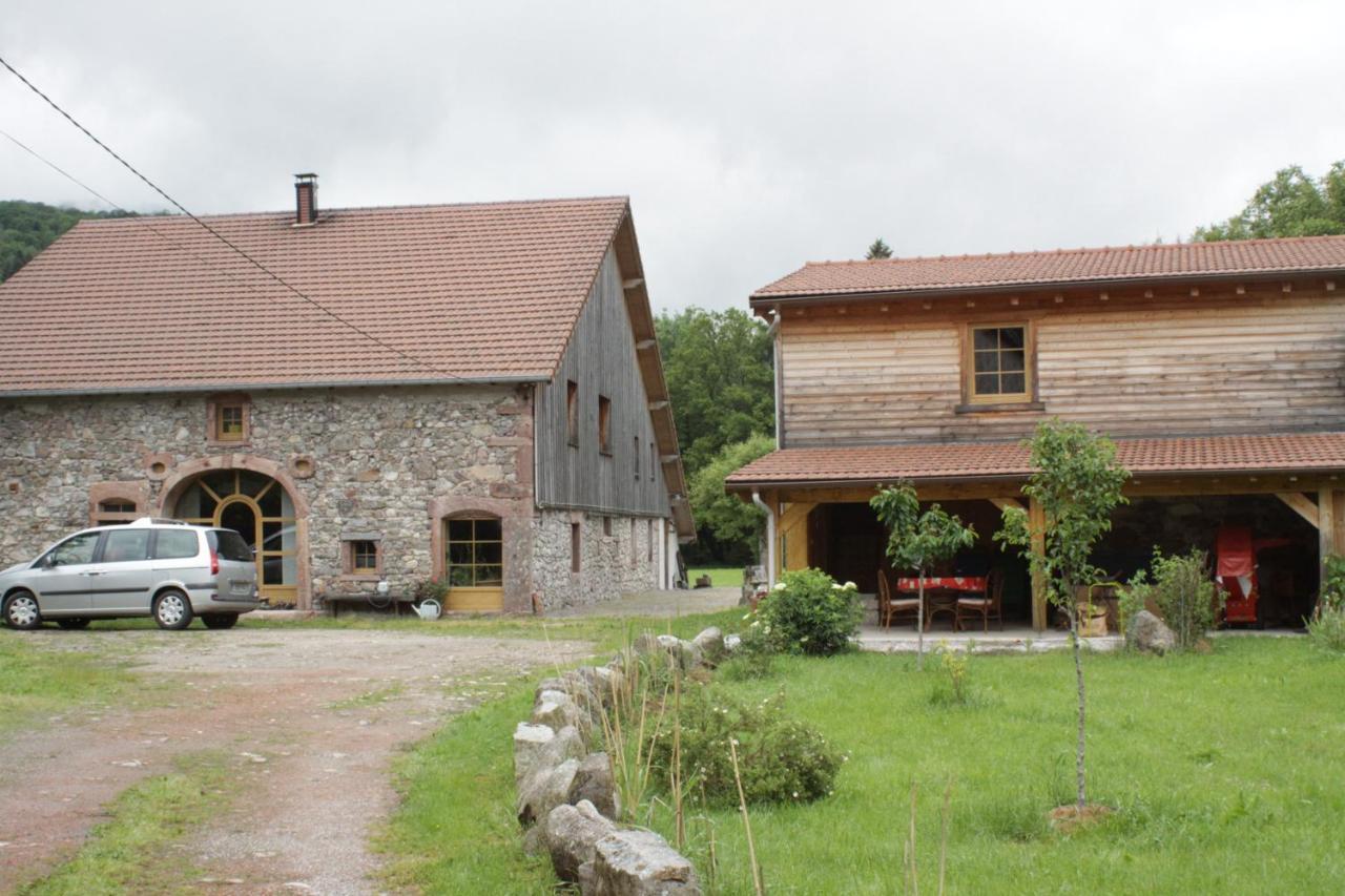 Gites Typiques Au Coeur Des Hautes Vosges Saulxures-sur-Moselotte Exteriér fotografie