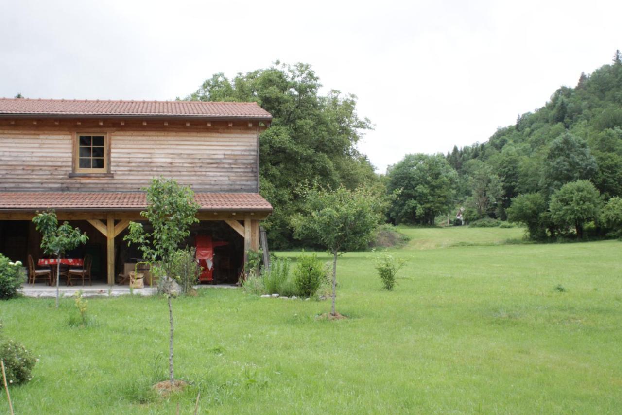 Gites Typiques Au Coeur Des Hautes Vosges Saulxures-sur-Moselotte Exteriér fotografie